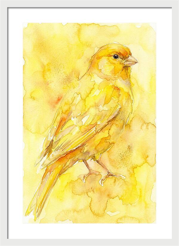 Canary In Watercolor Bliss