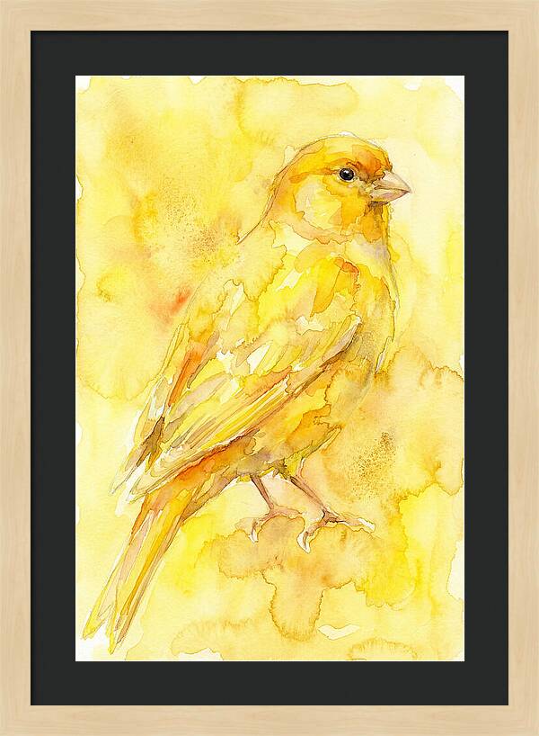 Canary In Watercolor Bliss