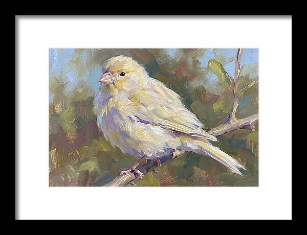Canary Perched In Nature