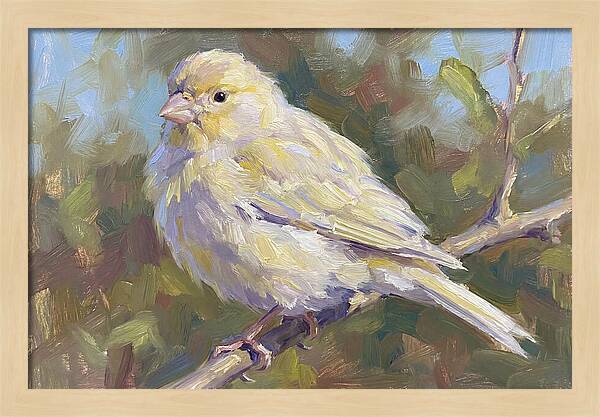 Canary Perched In Nature