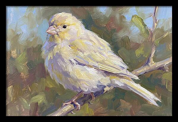 Canary Perched In Nature