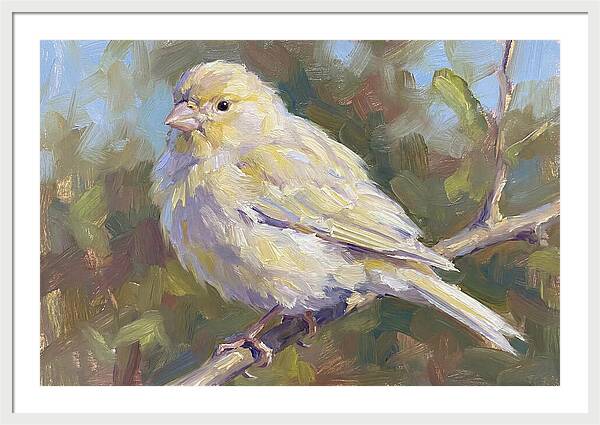 Canary Perched In Nature