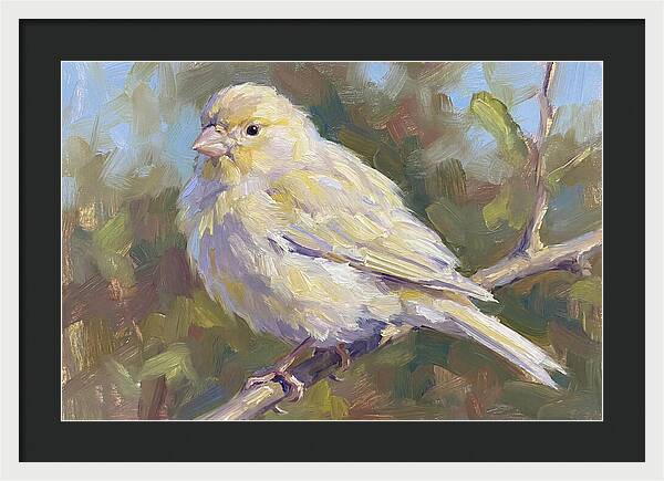 Canary Perched In Nature