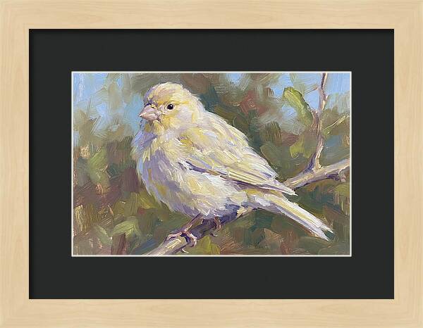 Canary Perched In Nature