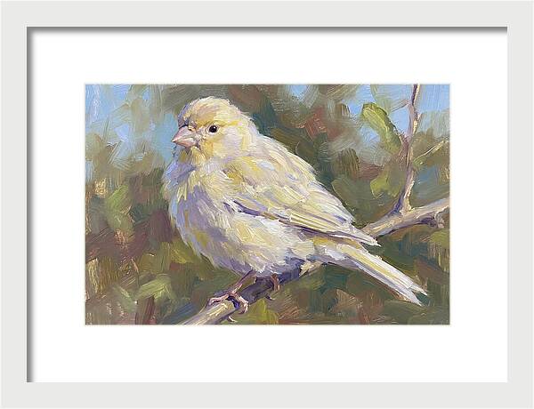 Canary Perched In Nature