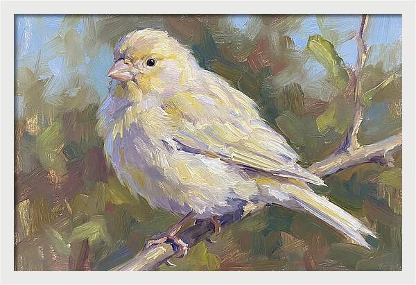 Canary Perched In Nature