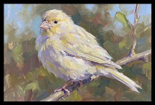 Canary Perched In Nature