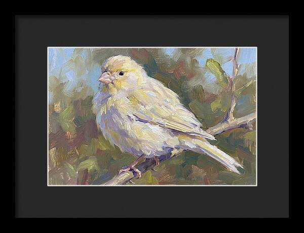 Canary Perched In Nature
