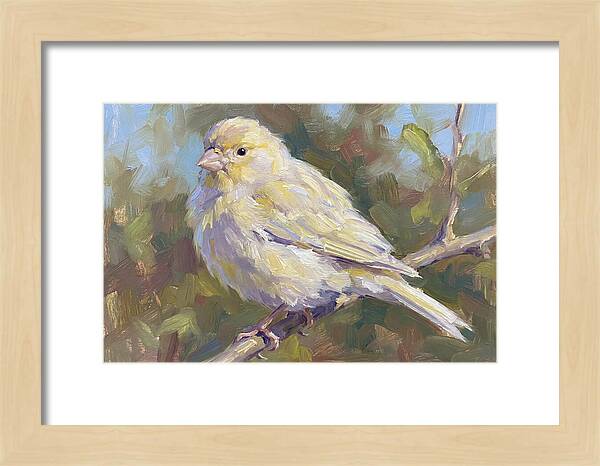 Canary Perched In Nature