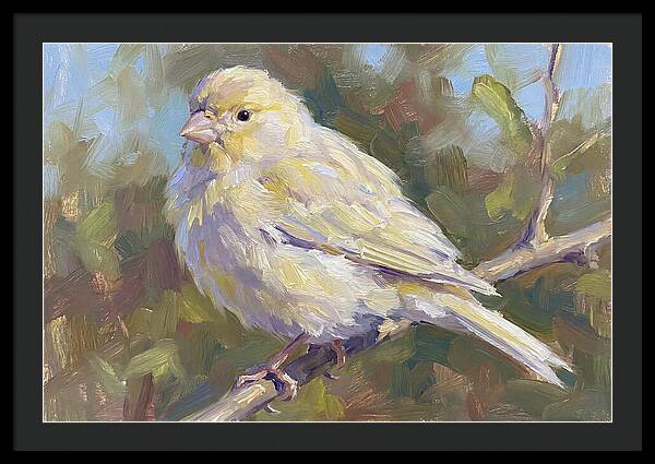 Canary Perched In Nature