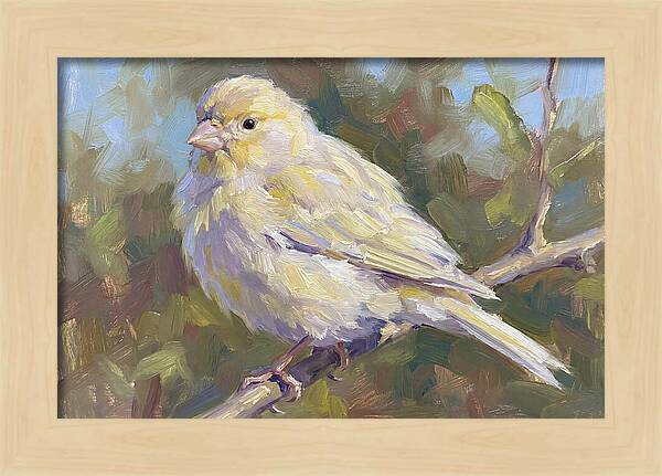Canary Perched In Nature