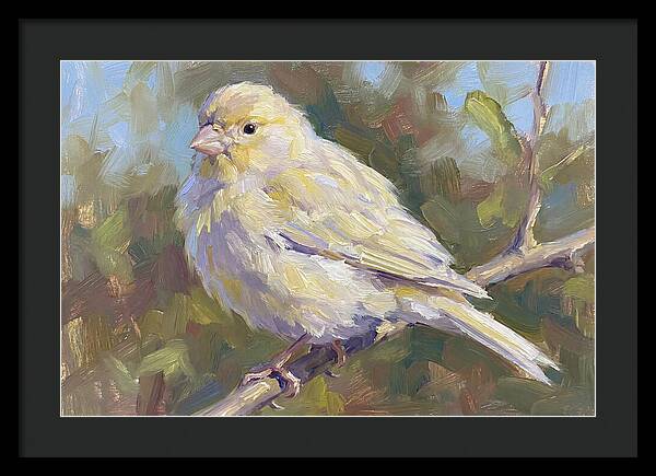 Canary Perched In Nature