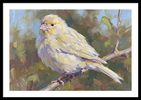 Canary Perched In Nature