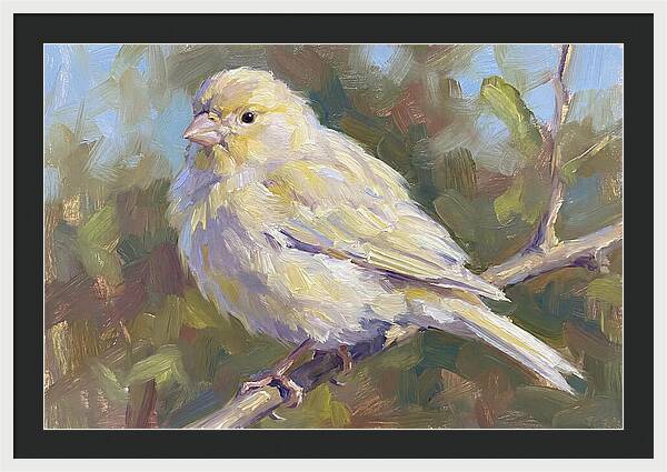Canary Perched In Nature