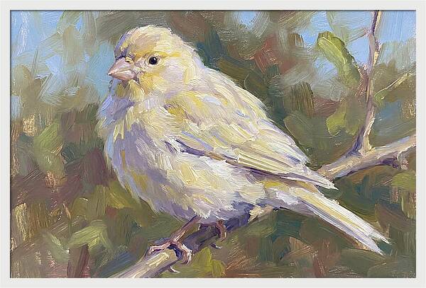 Canary Perched In Nature