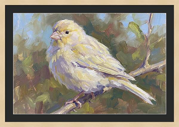 Canary Perched In Nature