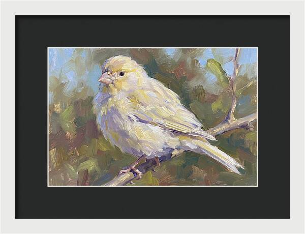 Canary Perched In Nature