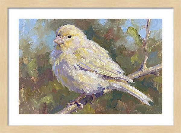 Canary Perched In Nature