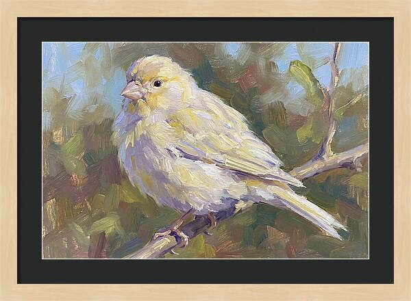 Canary Perched In Nature