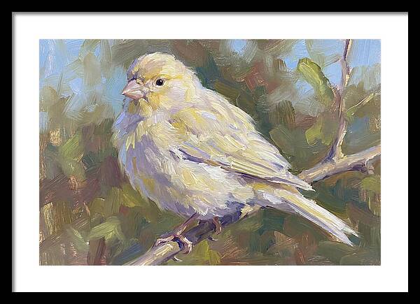 Canary Perched In Nature