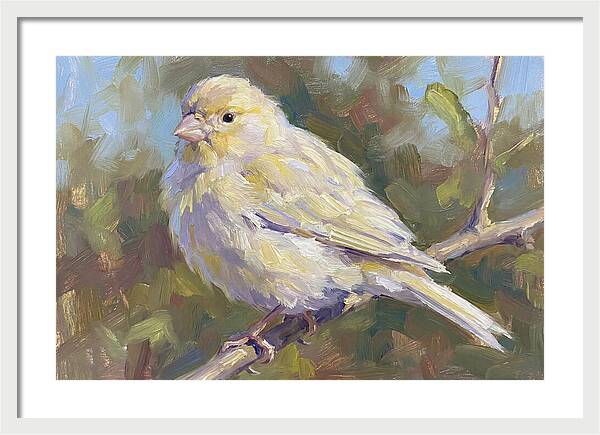 Canary Perched In Nature