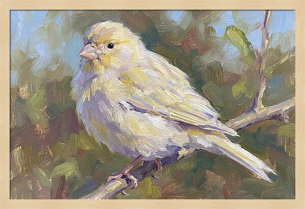 Canary Perched In Nature