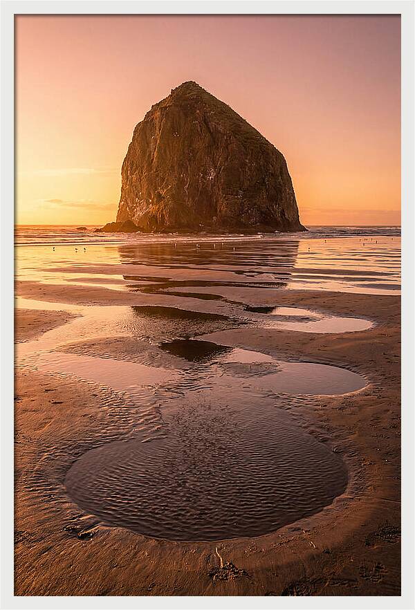 Cannon Beach Serenity