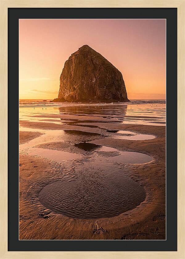 Cannon Beach Serenity