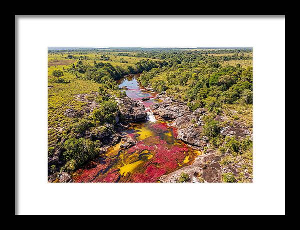 Cano Cristales In Bloom
