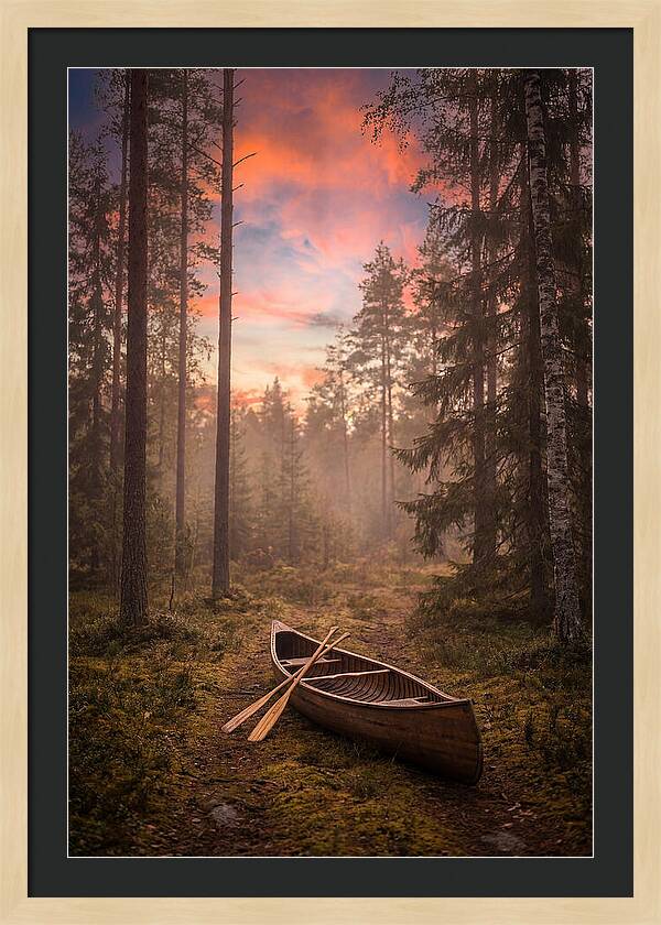 Canoe Portage Through Forest