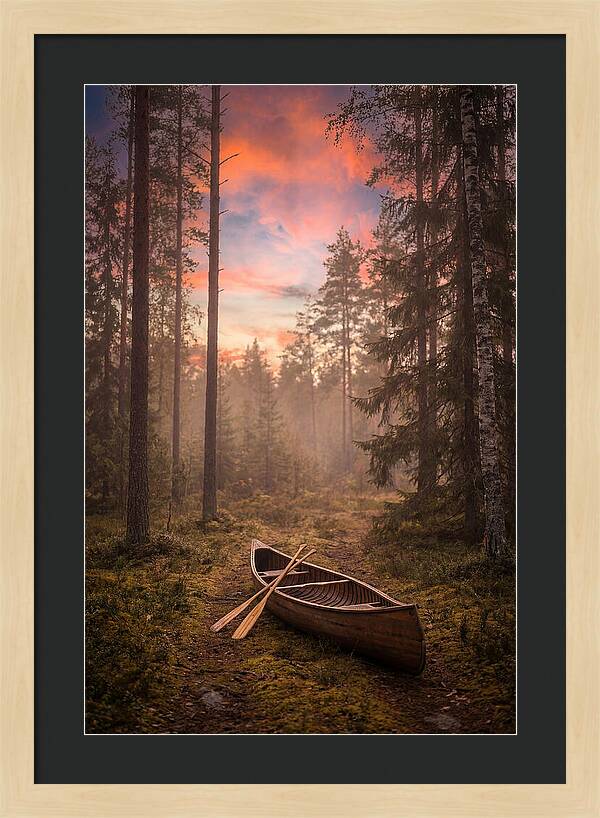 Canoe Portage Through Forest
