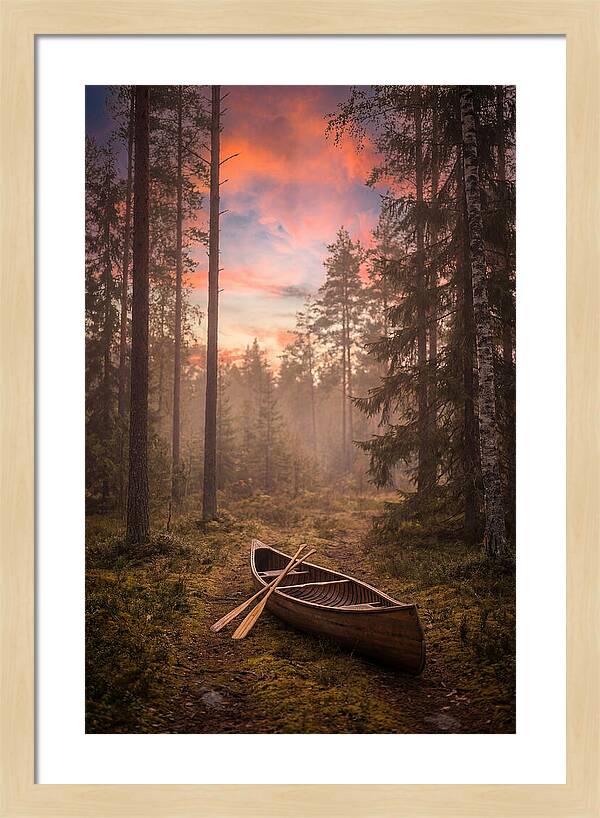 Canoe Portage Through Forest