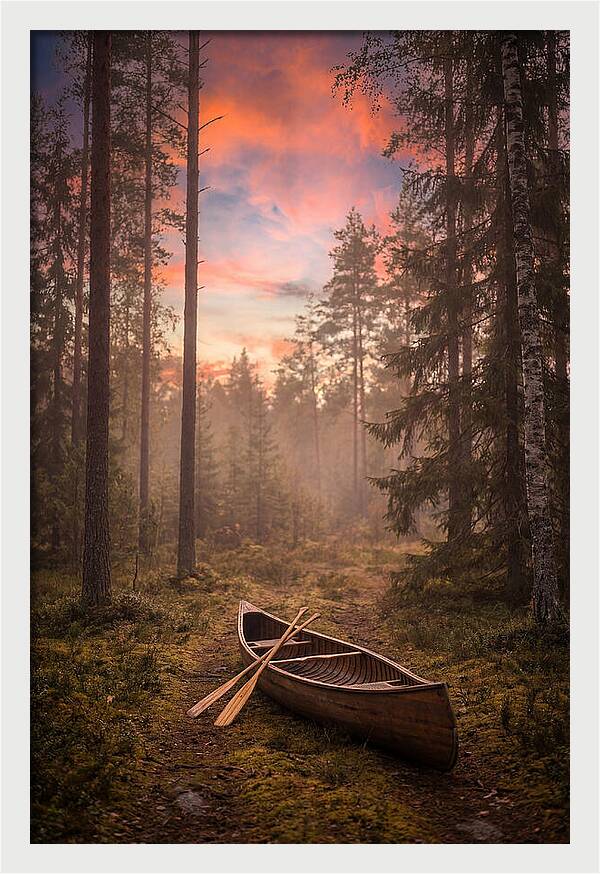 Canoe Portage Through Forest
