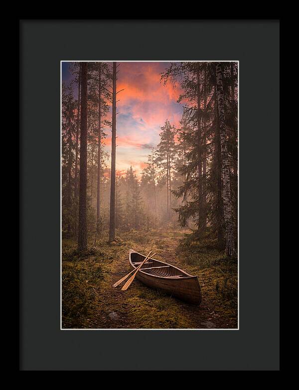 Canoe Portage Through Forest