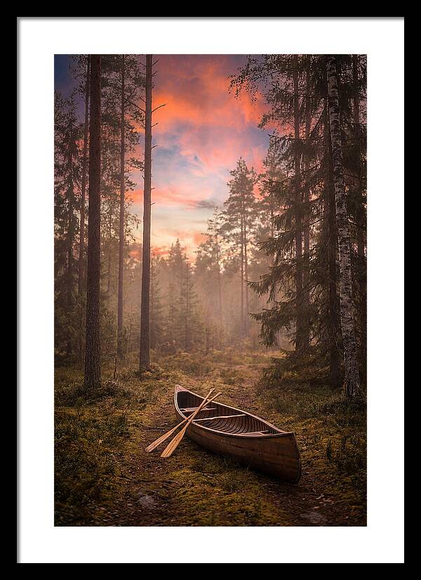 Canoe Portage Through Forest