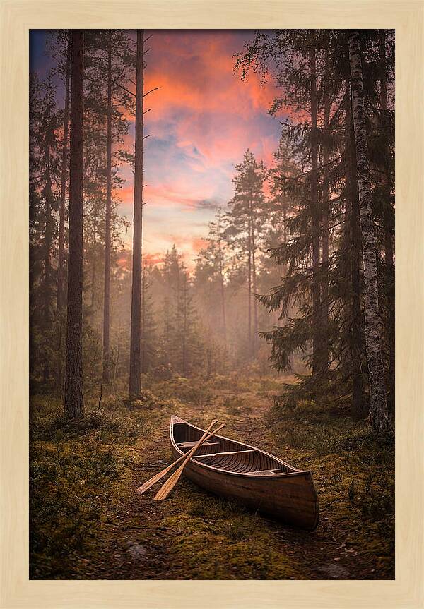 Canoe Portage Through Forest