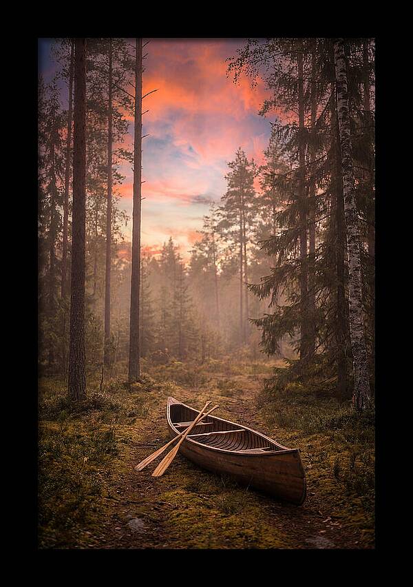 Canoe Portage Through Forest