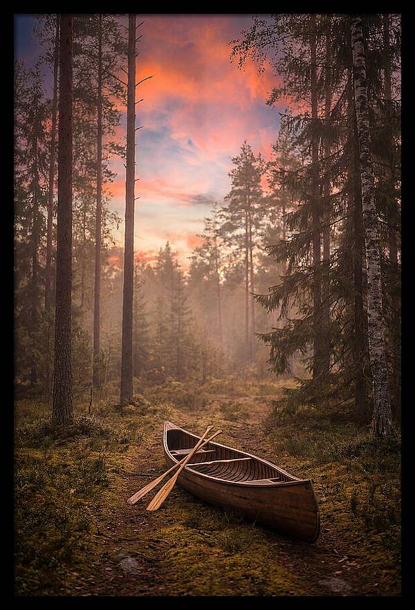 Canoe Portage Through Forest
