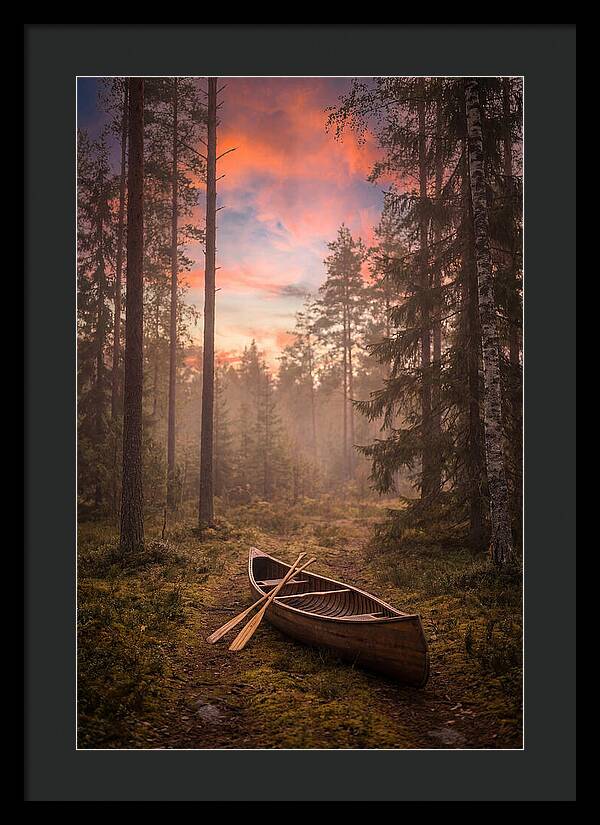 Canoe Portage Through Forest