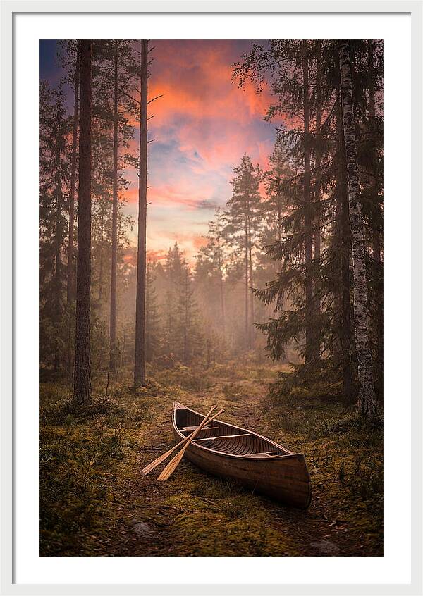 Canoe Portage Through Forest