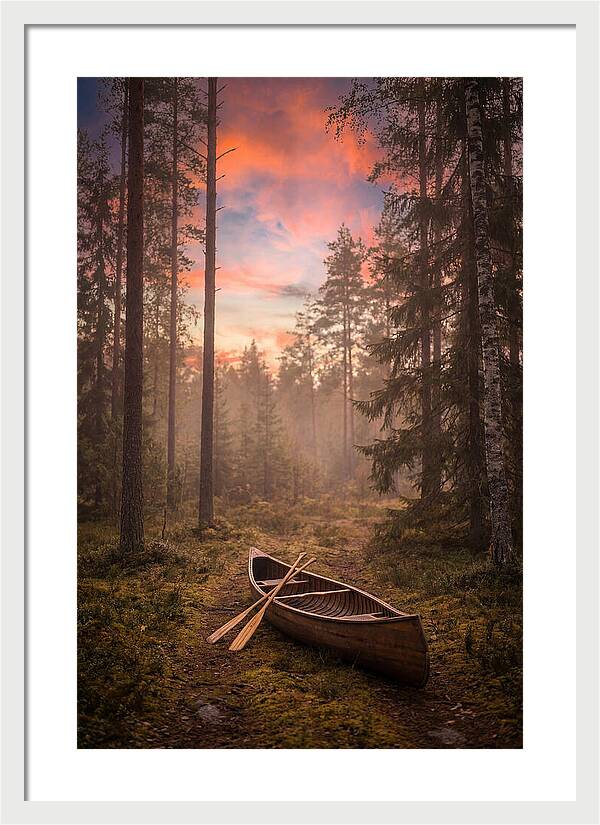 Canoe Portage Through Forest