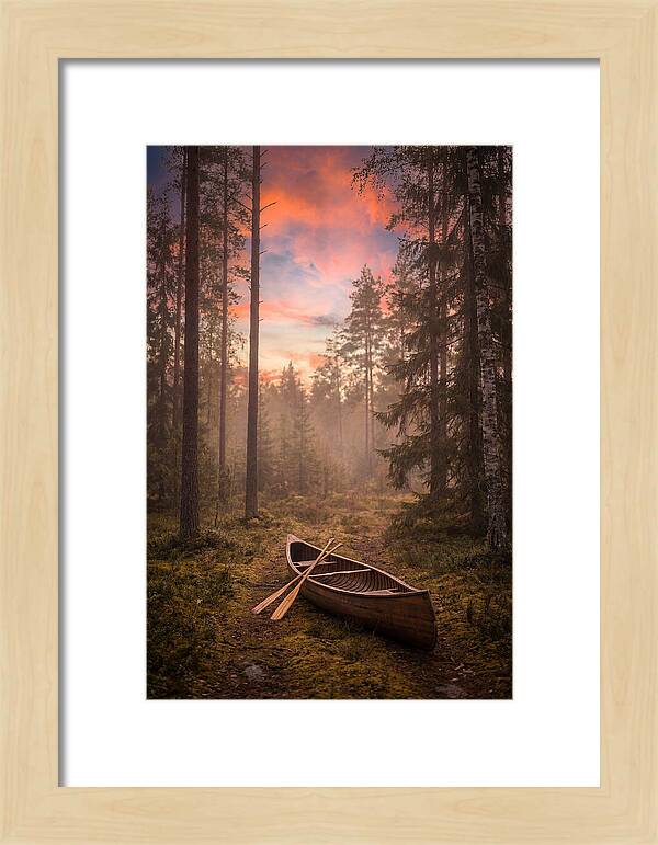 Canoe Portage Through Forest