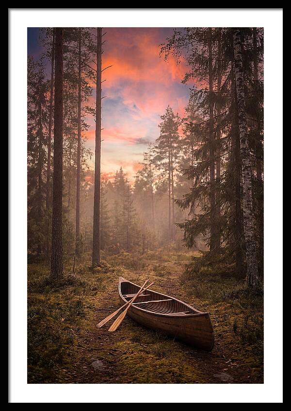 Canoe Portage Through Forest
