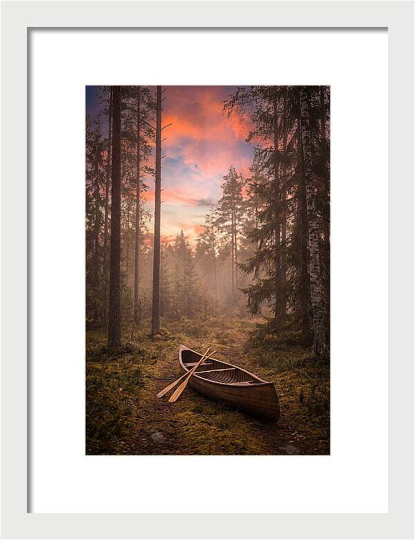 Canoe Portage Through Forest