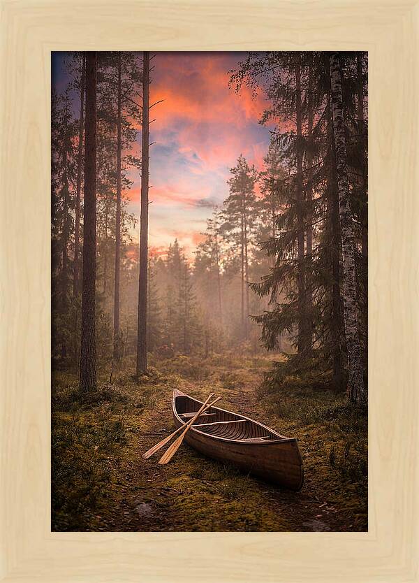 Canoe Portage Through Forest