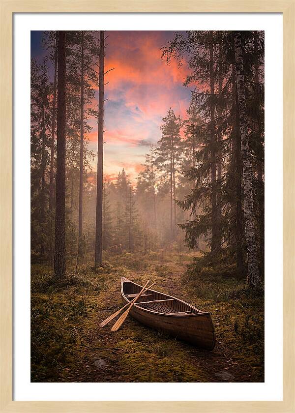 Canoe Portage Through Forest
