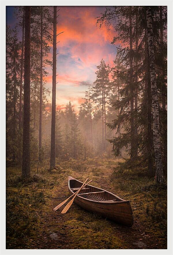 Canoe Portage Through Forest