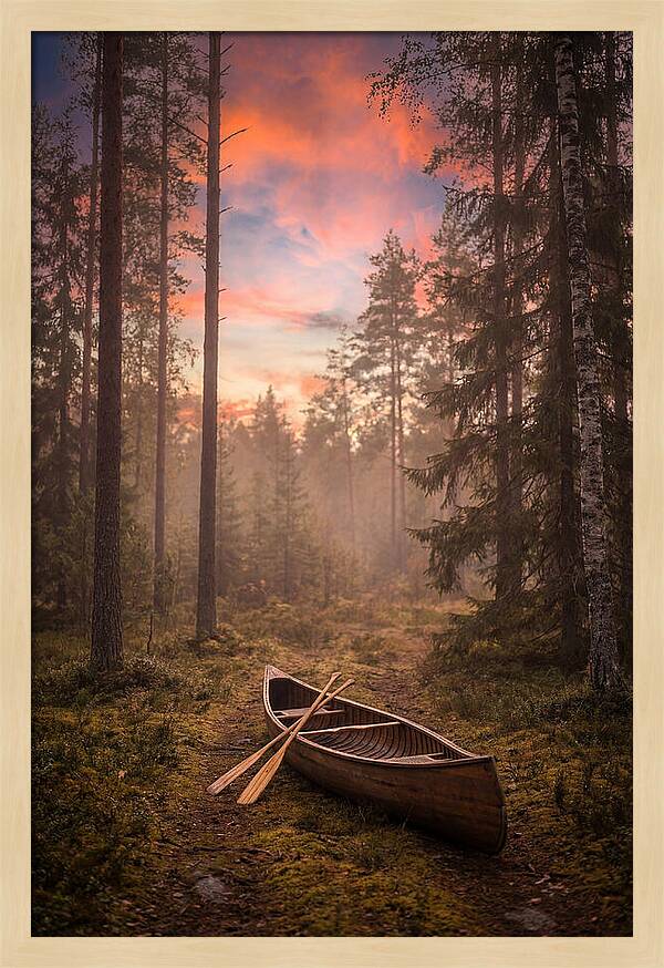 Canoe Portage Through Forest
