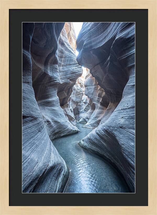 Canyon Narrows Reflecting Light