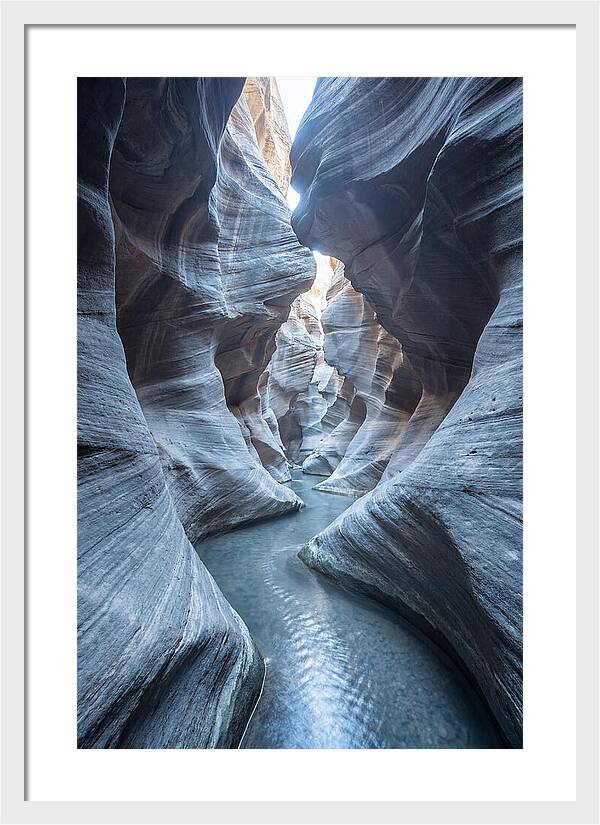 Canyon Narrows Reflecting Light